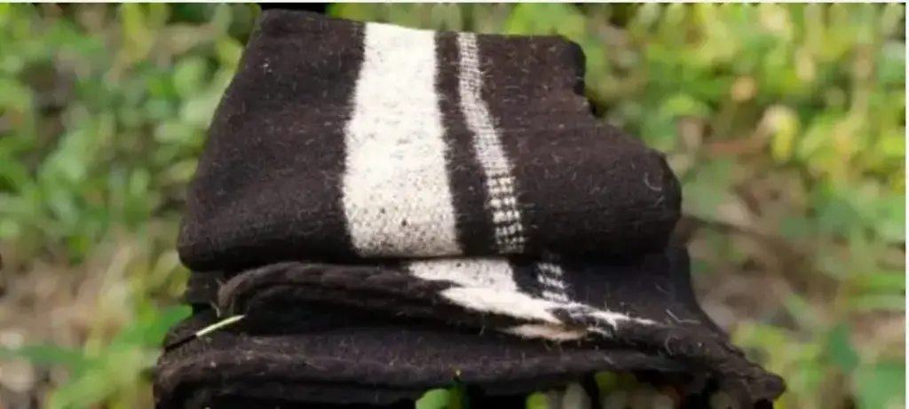 WhatsApp Image 2025-10-29 at 10.50.45 AM.webp