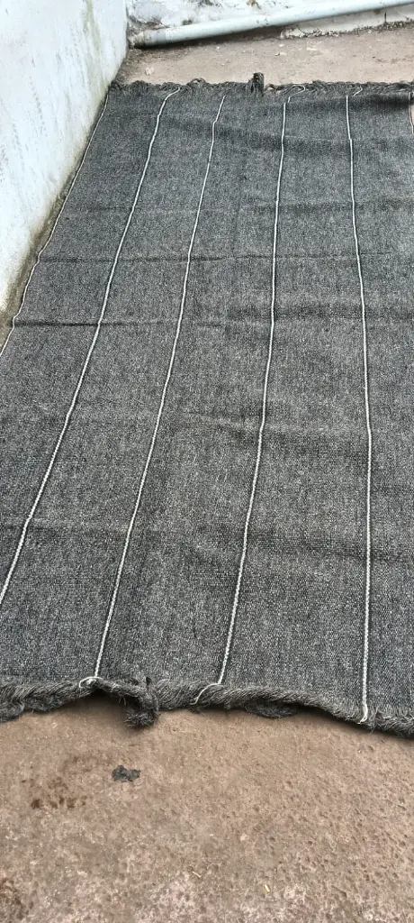 WhatsApp Image 2025-10-29 at 10.28.44 AM.webp